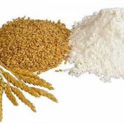 Započela distribucija brašna, stočnog brašna i lomljenog zrna pšenice krajnjim korisnicima