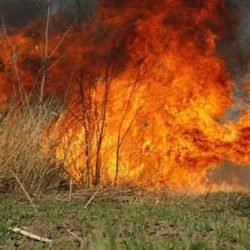 Tokom proteklog vikenda na području općine Goražde registrovano više požara