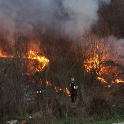 Novi požari na području BPK Goražde u danima vikenda; požar u rejonu Zupčića još uvijek aktivan