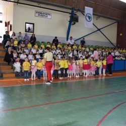 U Bosansko-podrinjskom kantonu Goražde okončana je realizacija obaveznog predškolskog programa, u godini pred polazak u školu