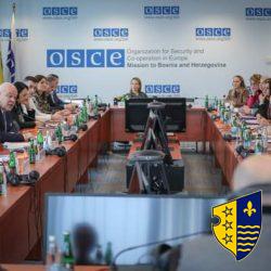 OSCE ocijenio napredak postignut u provedbi obaveza u borbi protiv rodno zasnovanog nasilja u BiH