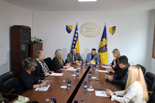 Ministrica Dučić i tim HSIP-a razgovarali o budućim aktivnostima s ciljem imeplementacije projekta